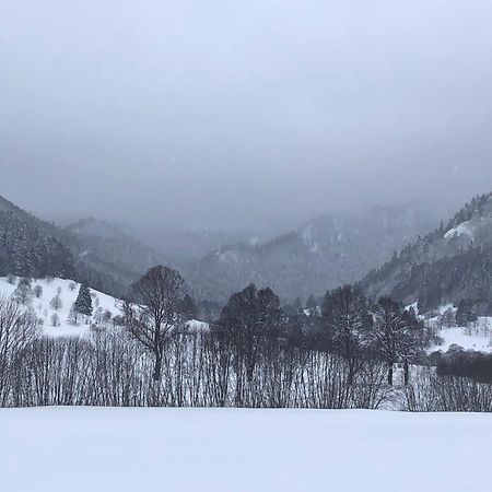 Forest Apartment-Forest Escape Menzenschwand Санкт Блазиен Екстериор снимка