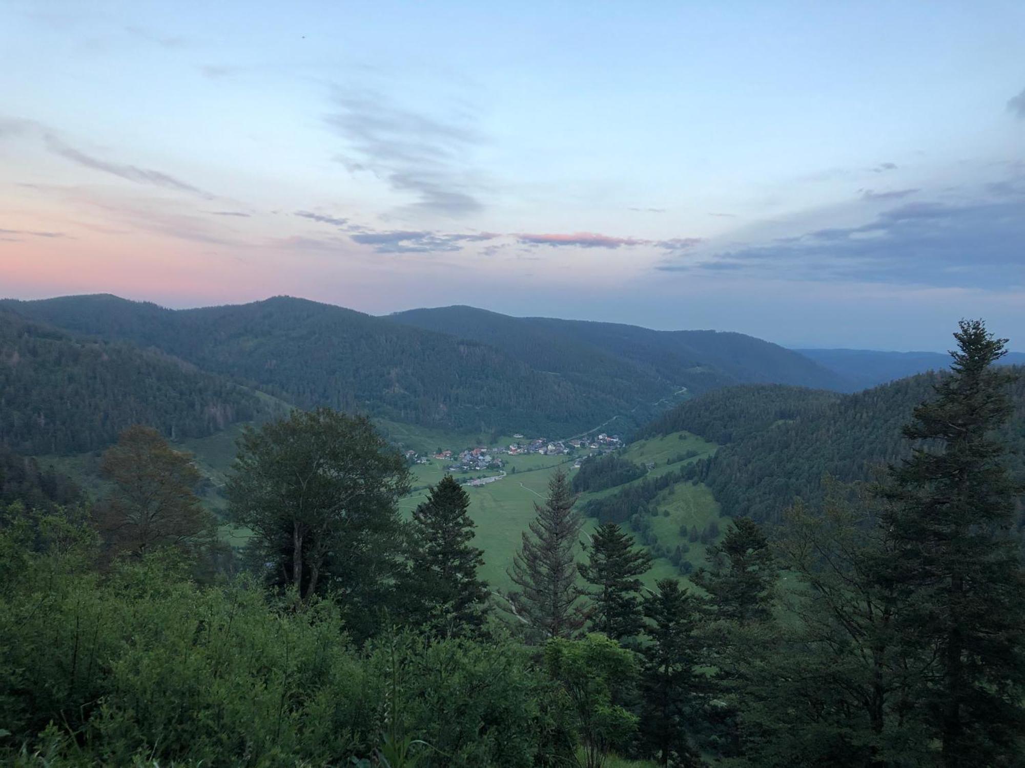 Forest Apartment-Forest Escape Menzenschwand Санкт Блазиен Екстериор снимка