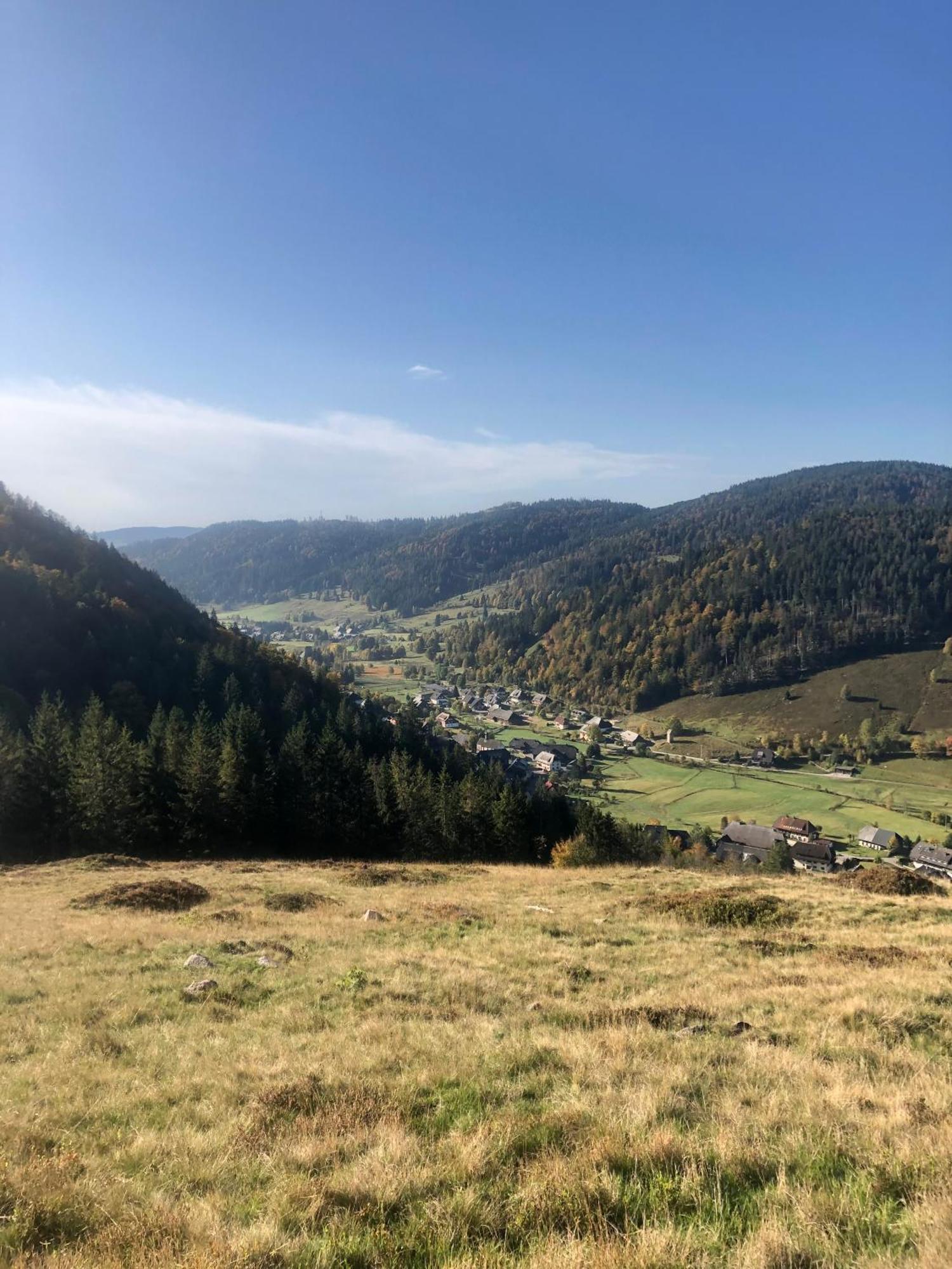 Forest Apartment-Forest Escape Menzenschwand Санкт Блазиен Екстериор снимка
